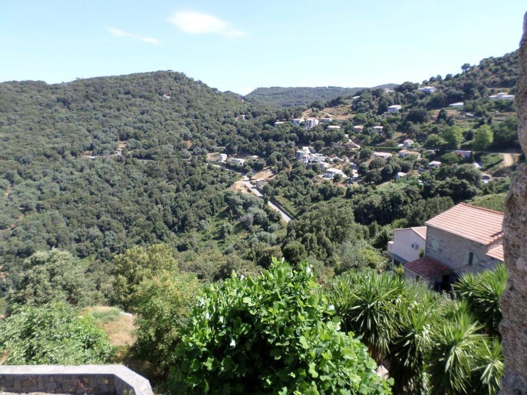 Appartement De Charme Entre Mer Et Montagne Sollacaro Bagian luar foto
